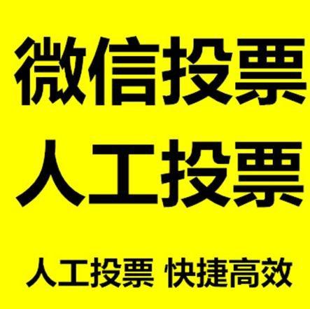 呼伦贝尔市投票活动拉票能被查出来吗？如何操作能不被发现？